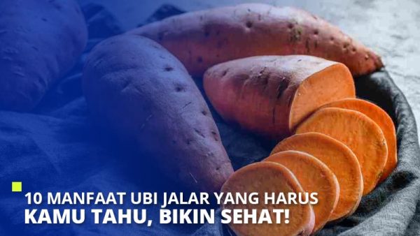 Manfaat Ubi Jalar Yang Harus Kamu Tahu Bikin Sehat