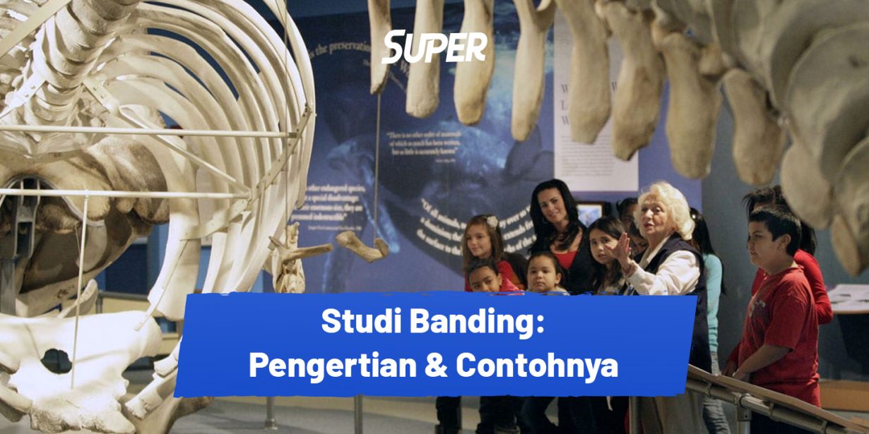 Pengertian Studi Banding Beserta Manfaatnya Untuk Pelajar