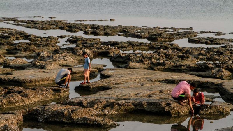 Pantai Di Gresik Paling Hits Dan Favorit Wisatawan