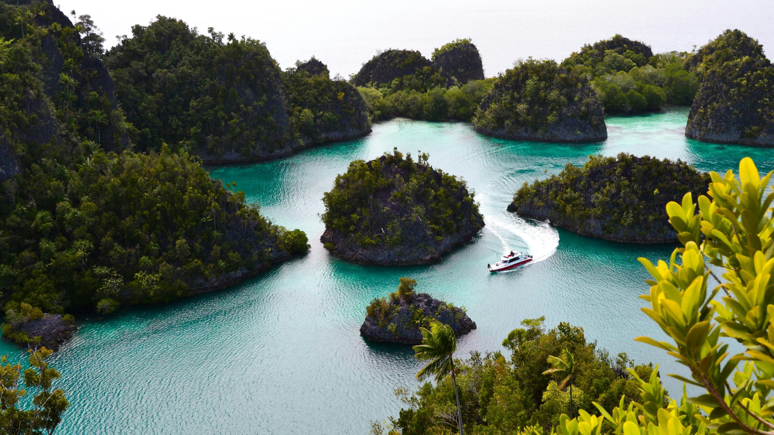 Pantai Kasap Pacitan Pesona Lokasi Harga Tiket Dan Fasilitas