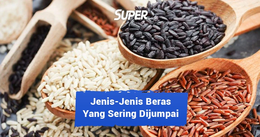 jenis jenis beras