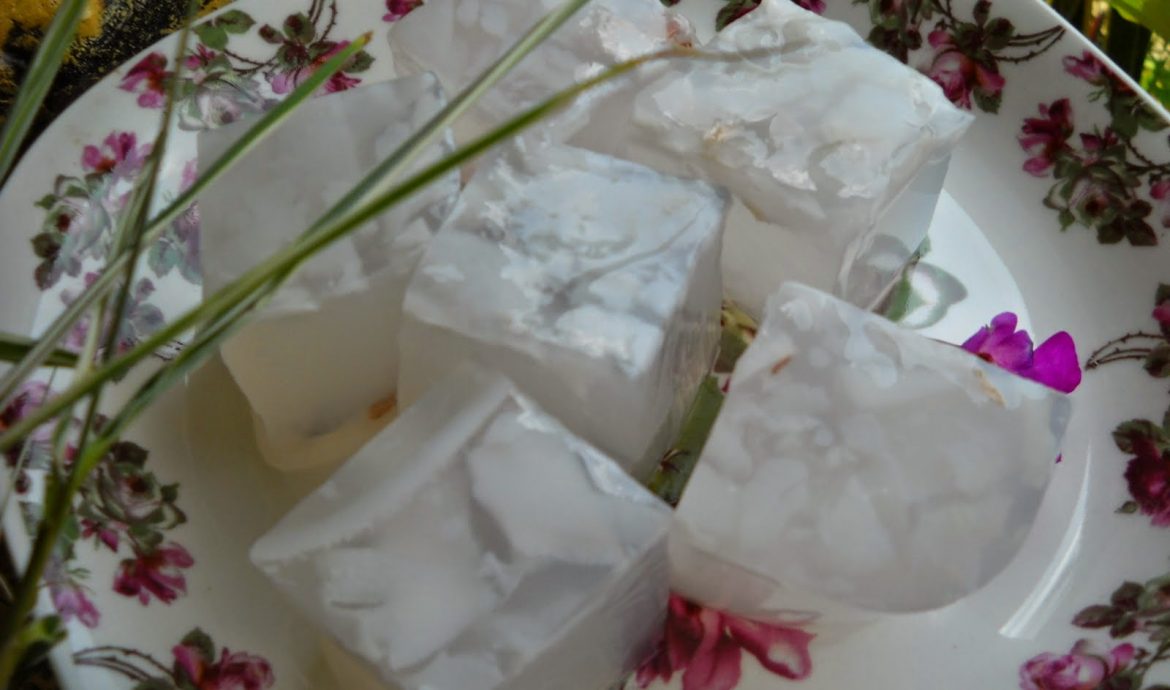 Agar-Agar Kelapa Muda