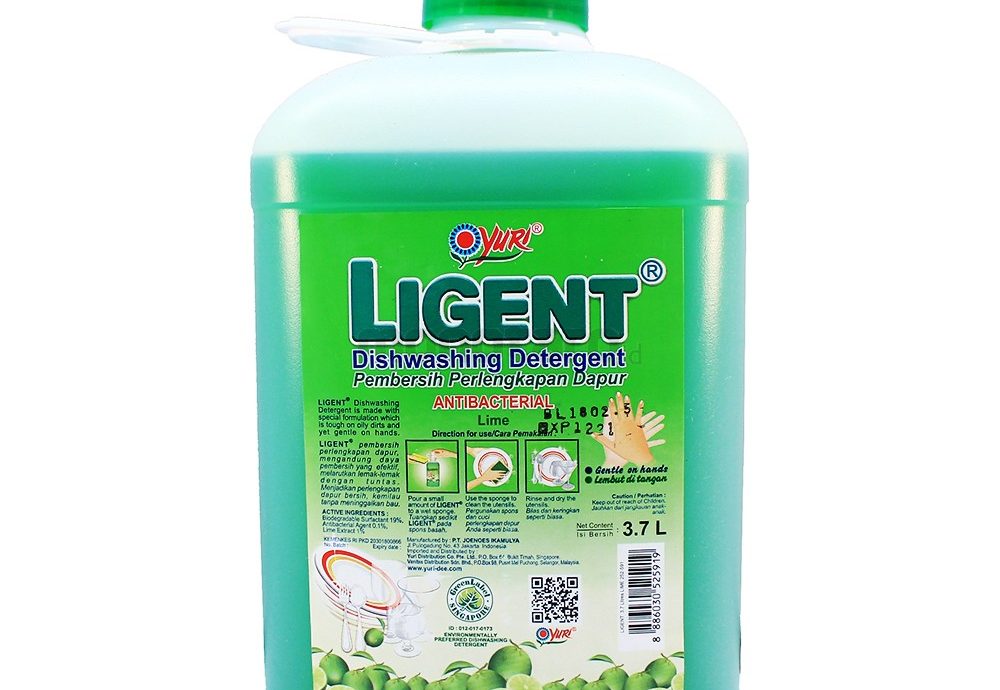 9. Yuri Ligent Diswashing