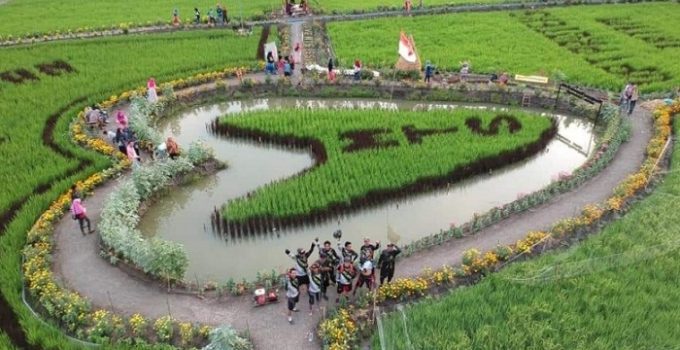 18. Manajemen Taman Besur