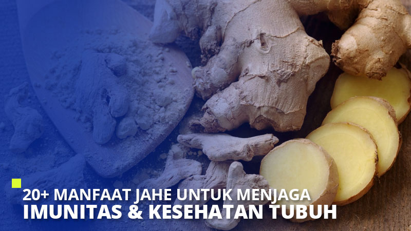 20+ Manfaat Jahe Untuk Menjaga Imunitas & Kesehatan Tubuh