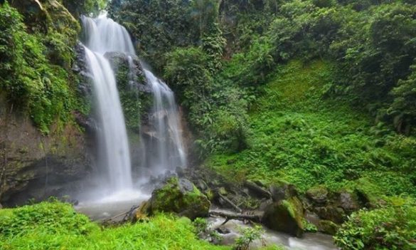 20 Wisata di Jember Paling Hits Tahun 2021. Wajib Ke Sini!