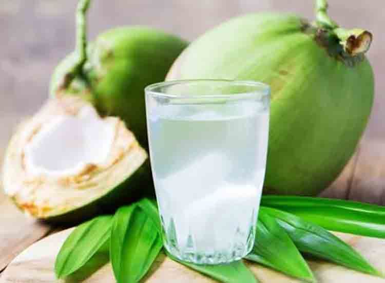 8. Minuman Air Kelapa