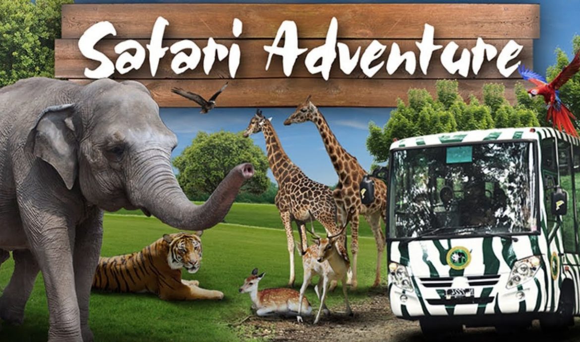 6. Terdapat Wahana Safari Adventure