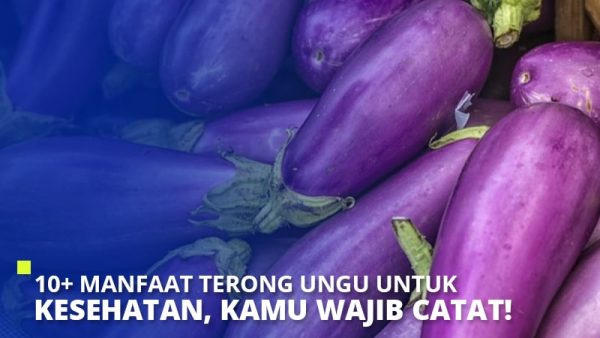 10 Manfaat Terong Ungu Untuk Kesehatan Kamu Wajib Catat