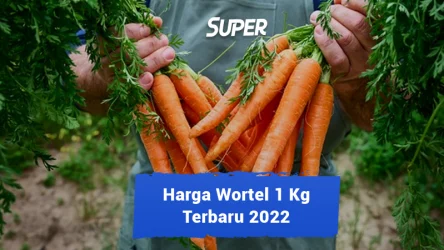 harga wortel 1 kg