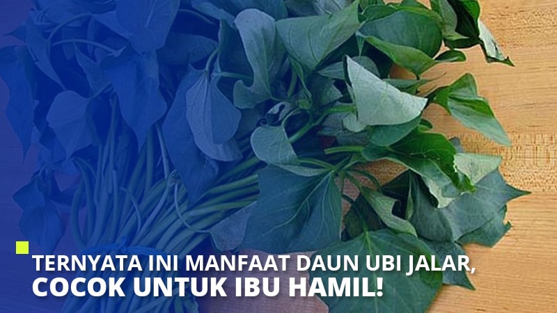 Ternyata Ini Manfaat Daun Ubi Jalar, Cocok Untuk Ibu Hamil!