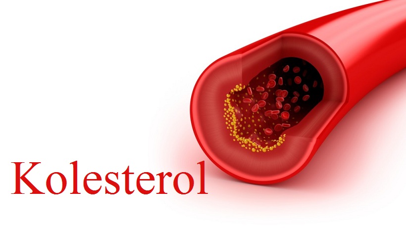 2. Menurunkan Kadar Kolesterol