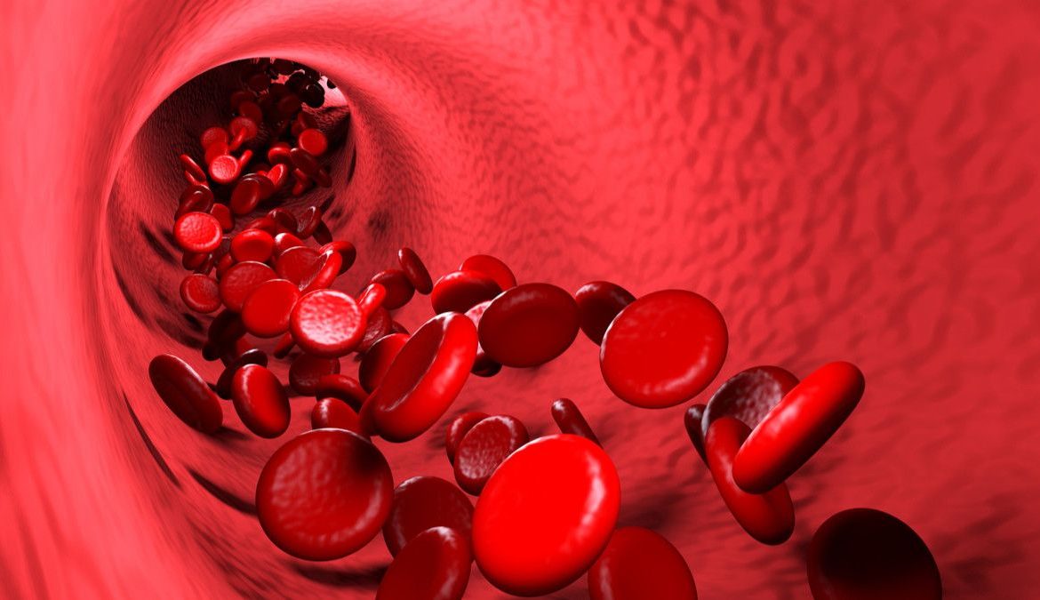 5. Melancarkan Peredaran Darah