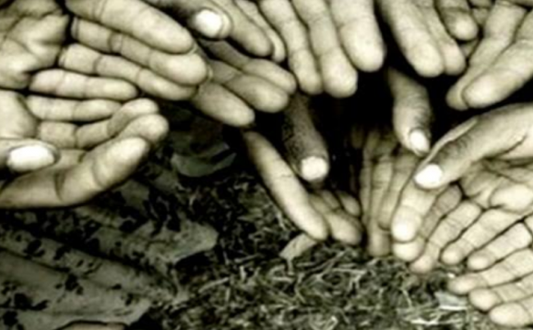 Jangan Keliru, Ini 8 Golongan yang Berhak Menerima Zakat