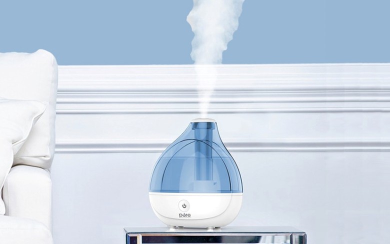 4. Humidifier dan Essential Oil