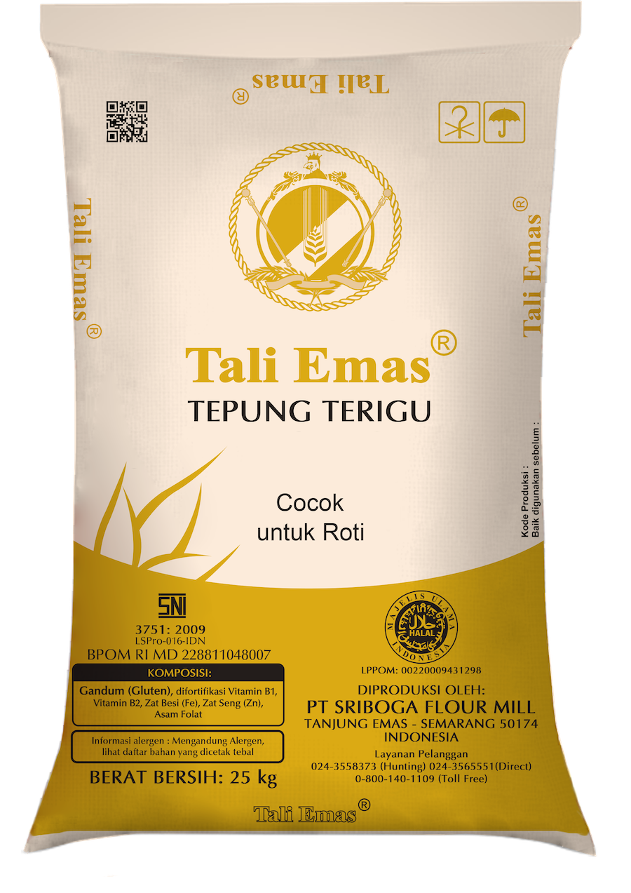 tepung terigu protein tinggi