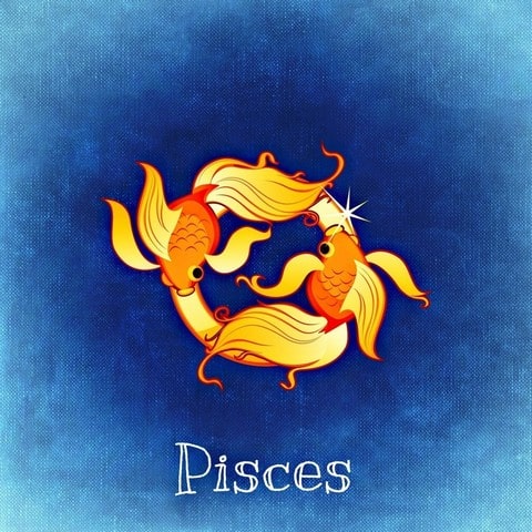12. Pisces (19 Februari – 20 Maret)