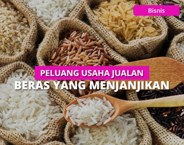 Cara Sukses Memulai Bisnis Beras Bagi Pemula Mulai Dari Nol