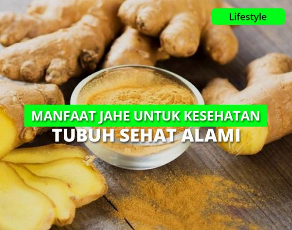 12 Manfaat Jahe Untuk Kesehatan Tubuh Sehat Bugar Alami