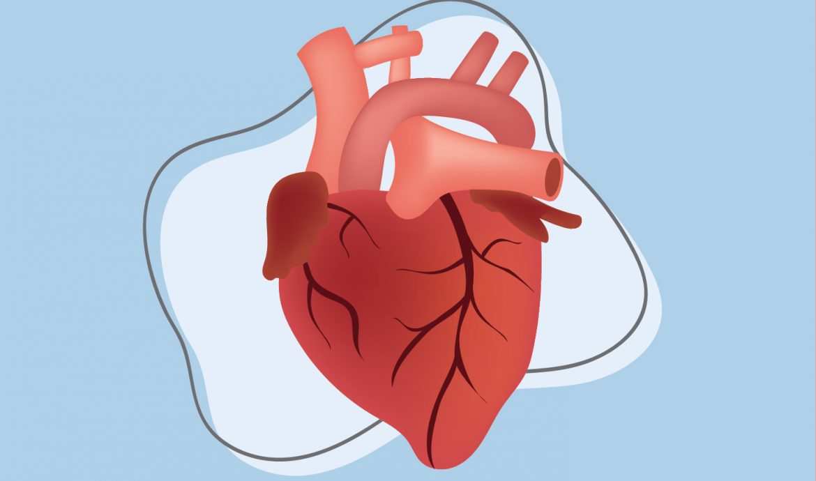 3. Menjaga Kesehatan Jantung
