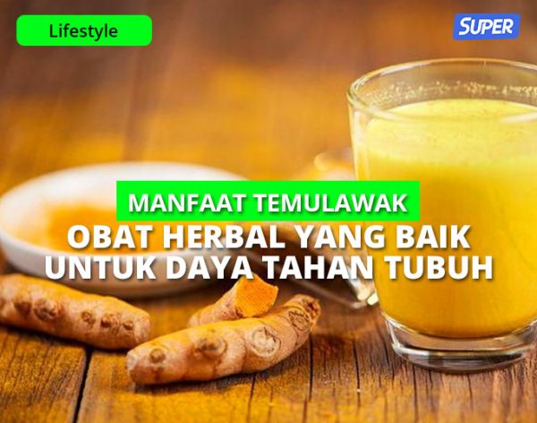 10 Manfaat Temulawak Obat Herbal Yang Baik Untuk Daya Tahan Tubuh