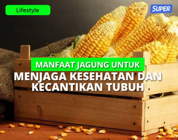 12 Manfaat Jagung Untuk Menjaga Kesehatan & Kecantikan Tubuh