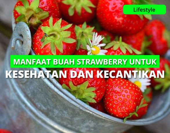 10 Manfaat Buah Strawberry Untuk Kesehatan Dan Kecantikan Kulit