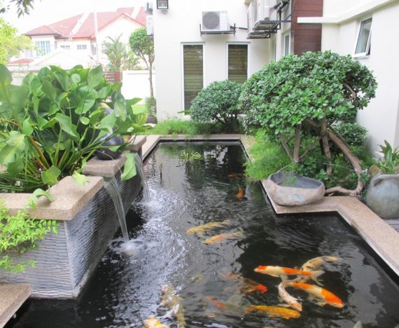 model kolam ikan minimalis depan rumah