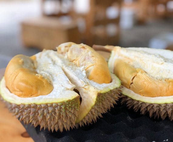 buah buahan yang dilarang untuk ibu hamil durian