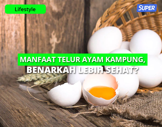 Telur jawa khasiat ayam Manfaat Minum