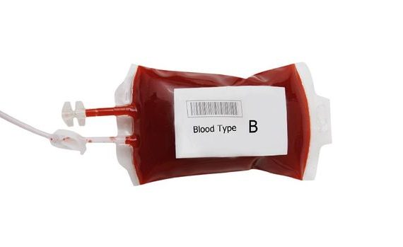 darah b