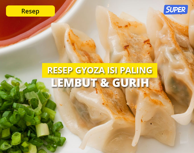 Resep Gyoza Isi Ayam Yang Lembut Enak Dan Gurih