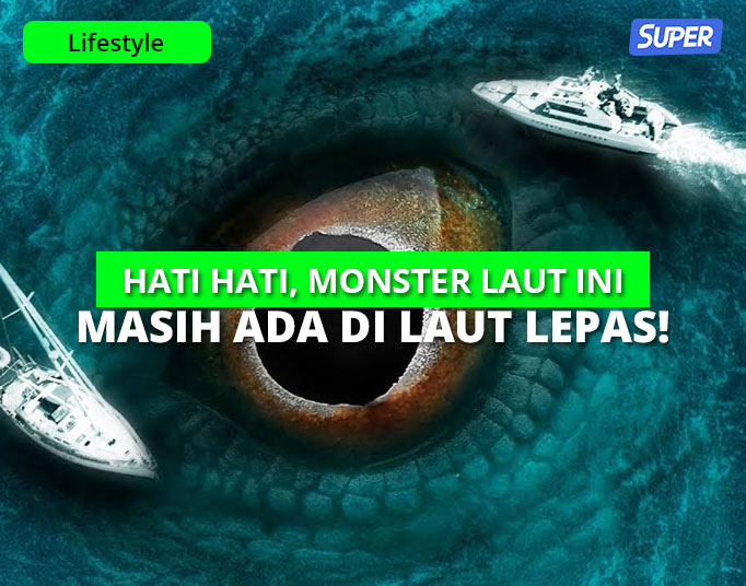 monster laut