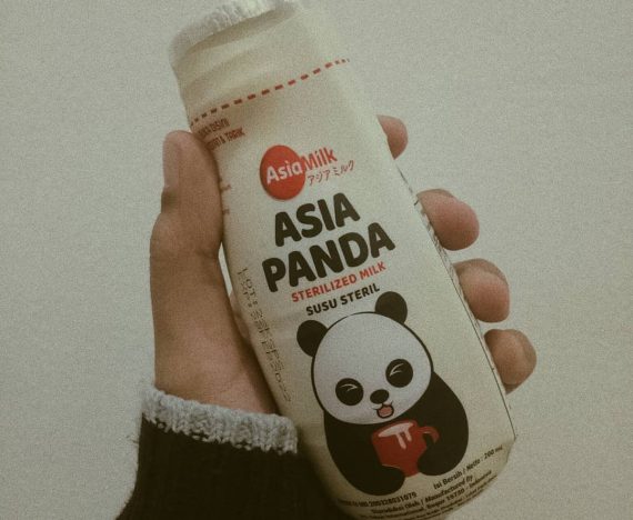 susu steril selain bear brand Asia Panda