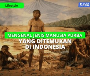 Manusia purba di Indonesia