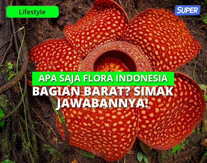 flora indonesia bagian barat