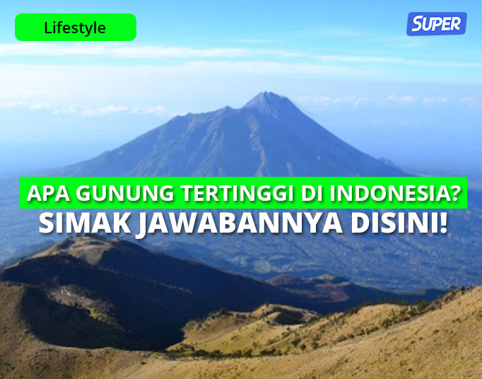 Gunung tertinggi di indonesia yaitu gunung
