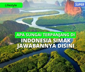 sungai terpanjang di indonesia