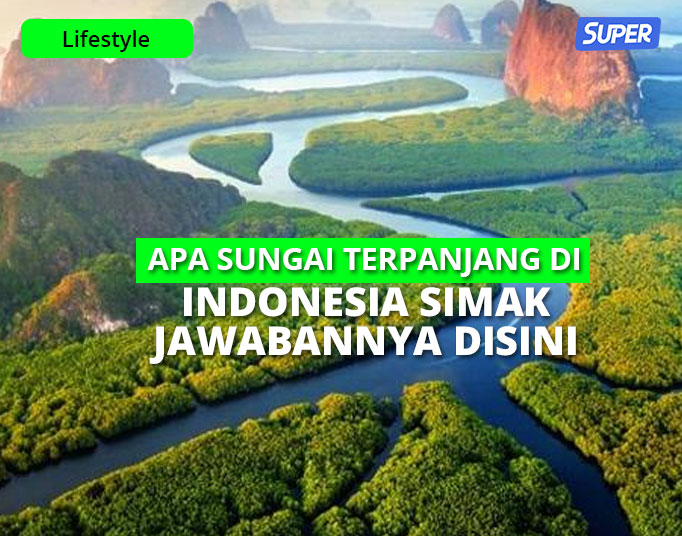 Sungai terpanjang di indonesia