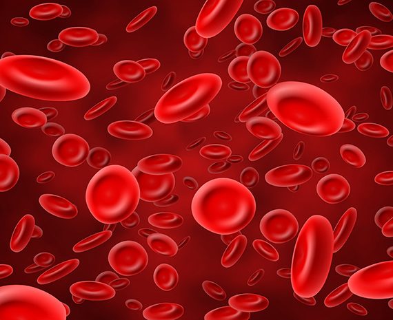 Sel darah marah hemoglobin