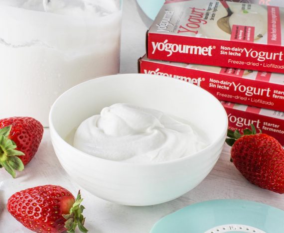 cara membuat yogurt