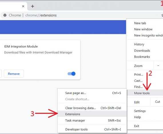 idm extension chrome