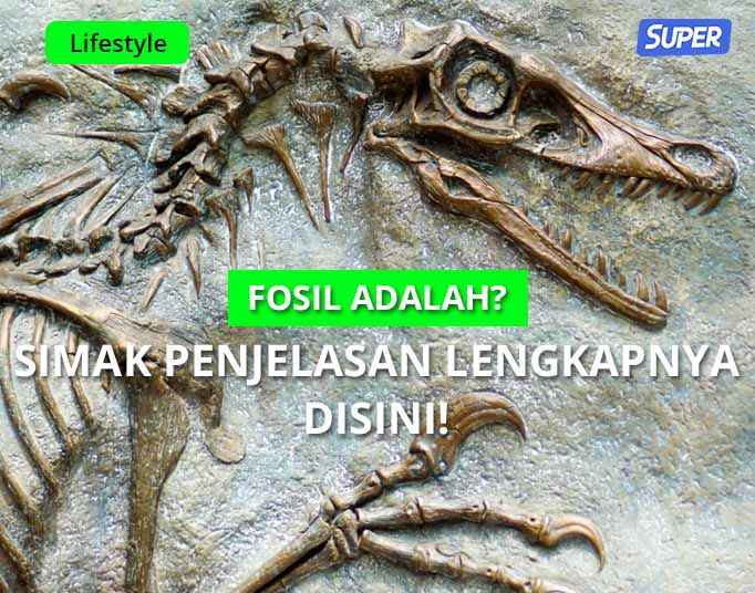 fosil adalah