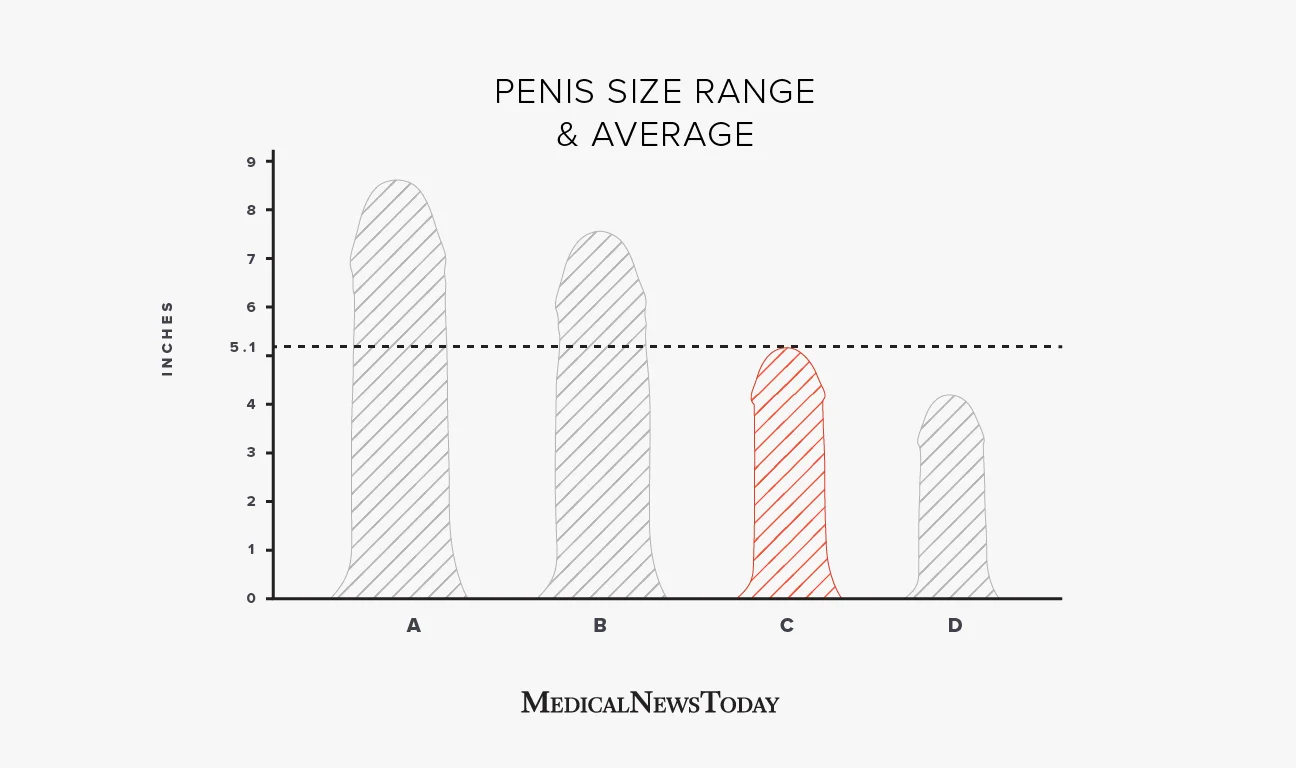 Ukuran penis normal Indonesia