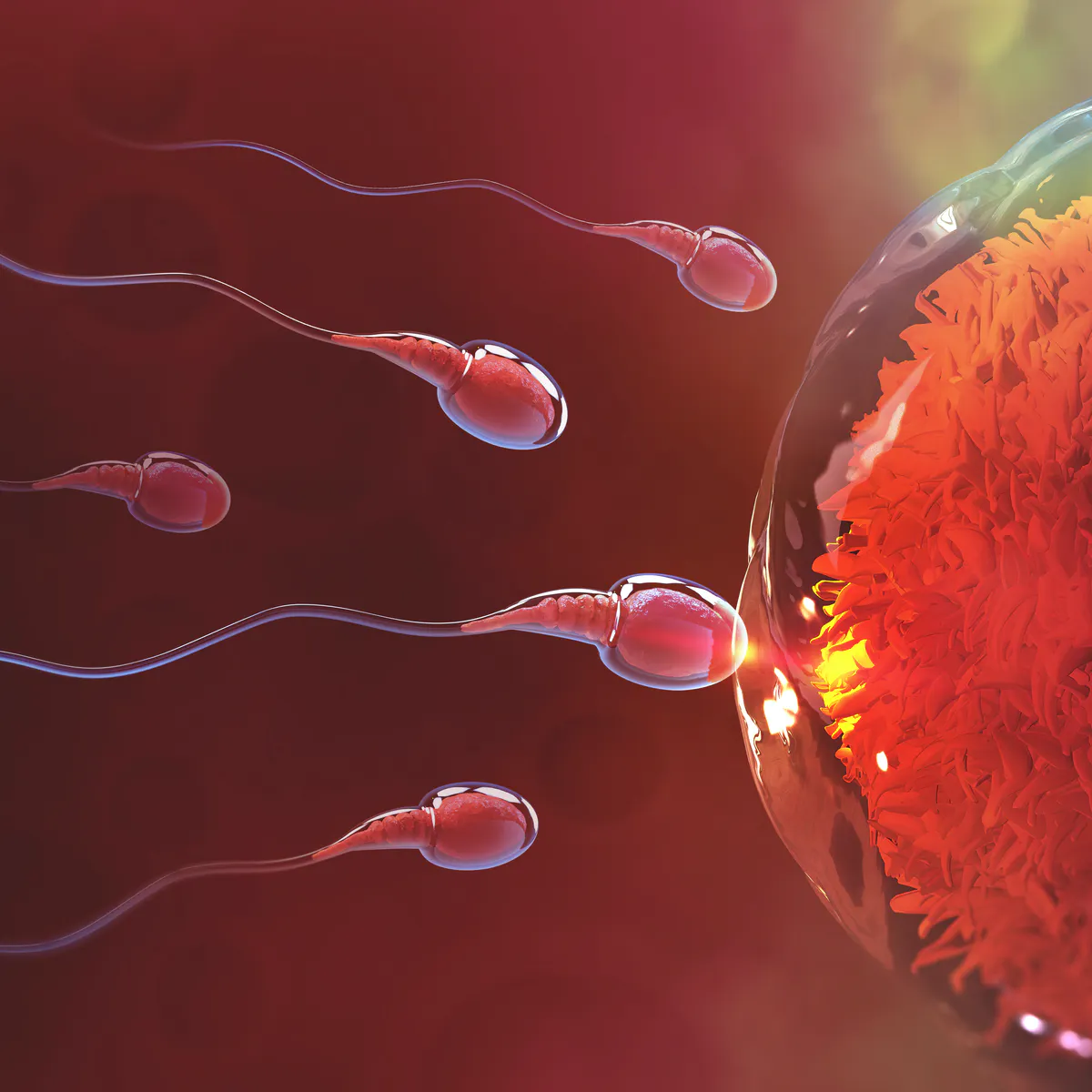 Ciri ciri sperma sehat