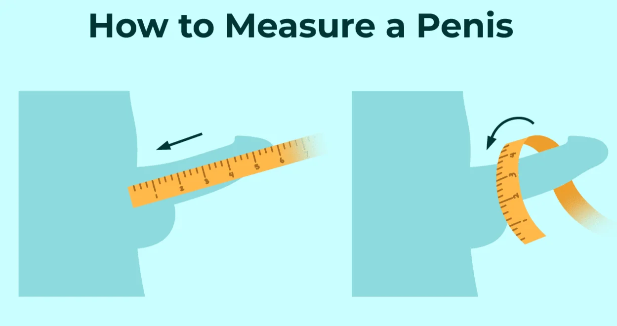 Cara mengukur penis