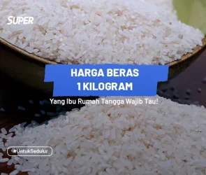 Harga beras 1 kg