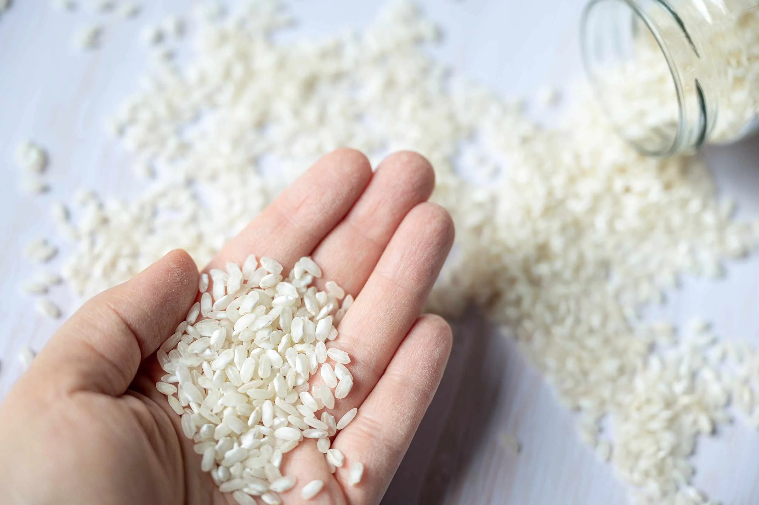 Cara mengusir kutu beras