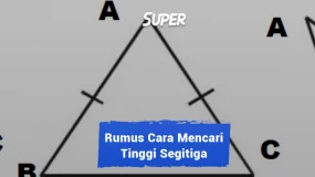 cara mencari tinggi segitiga