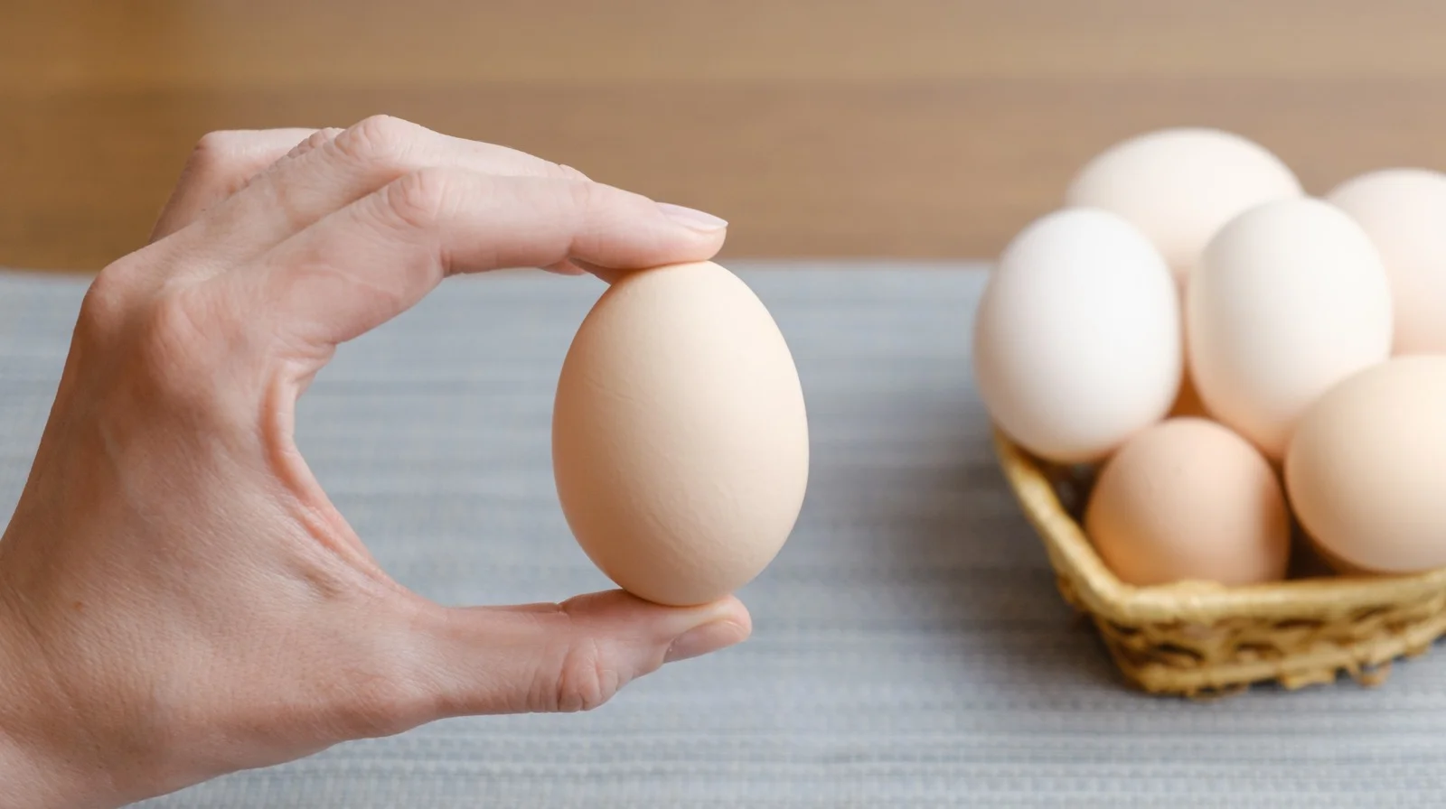 Cara memilih telur